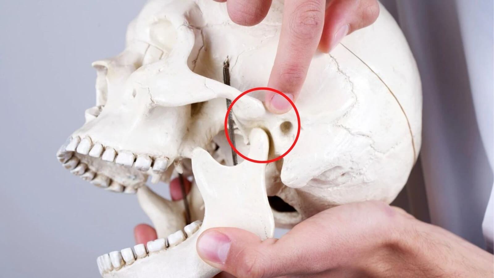 Những lưu ý khi chọn mua sản phẩm chewing, dụng cụ tập cơ hàm, jawliner